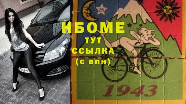 крисы Верея
