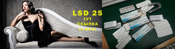 крисы Верея