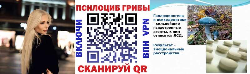 что такое наркотик Новохопёрск Галлюциногенные грибы Cubensis